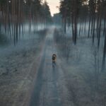 imagem promocional 2