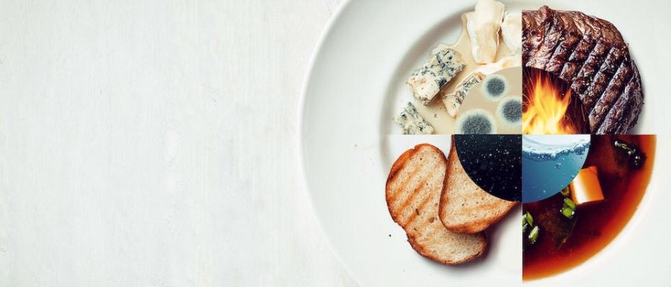 alimentos e elementos necessarios para cozinhar