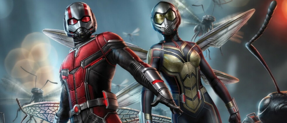 homem formiga e vespa com insetos no fundo