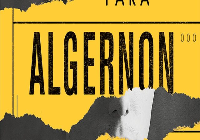 flores para algernon capa