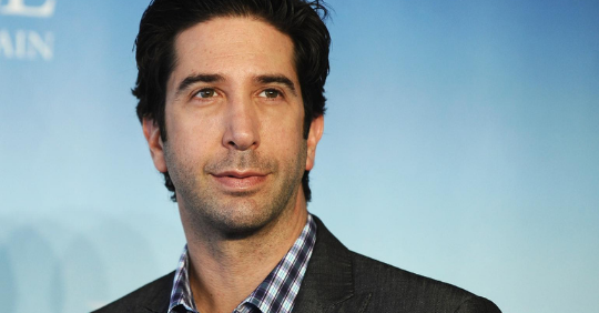 David Schwimmer Filmes E Series Com O Ator Para Voce Assistir